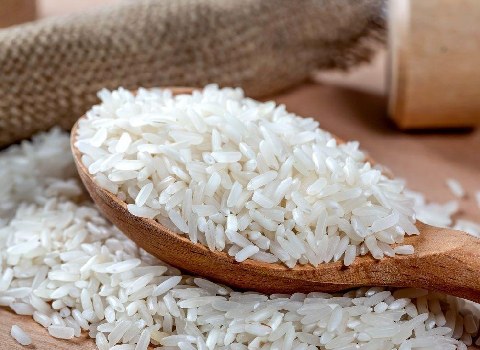 قیمت برنج شمال قم با کیفیت ارزان + خرید عمده